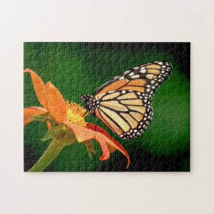 Puzzle Papillon Monarque sur une fleur d'orange