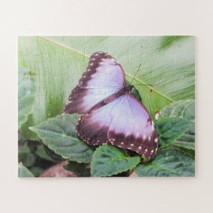 Puzzle Papillon morpho bleu