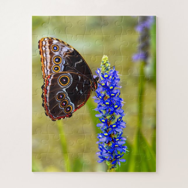 Puzzle Papillon morpho bleu sur une orchidée de marais (Vertical)