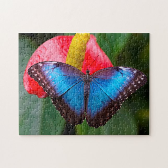 Puzzle Papillon Morphofalter Bleu. (Horizontal)