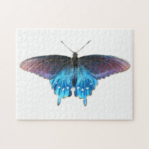 Puzzle Papillon noir à queue fourchue sur la plage de la