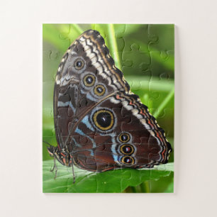 Puzzle Papillon noir assis sur des Feuilles de la nature