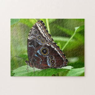 Puzzle Papillon noir assis sur la feuille