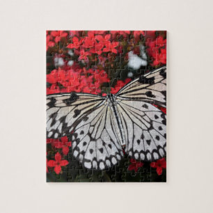 Puzzle Papillon noir et blanc sur Fleurs rouges