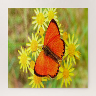 Puzzle Papillon orange clair Fleurs jaunes