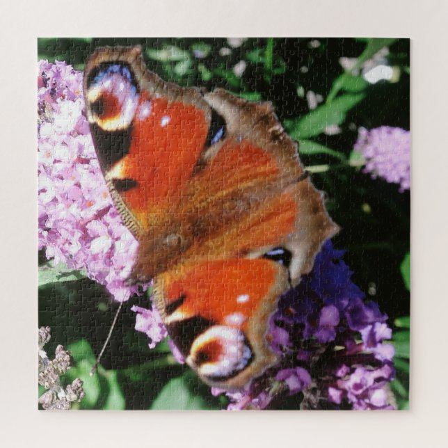 Puzzle Papillon Peacock Sur Bouddleia Mauve (Vertical)