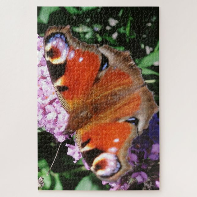Puzzle Papillon Peacock Sur Bouddleia Mauve 20 x 30 1014 (Vertical)