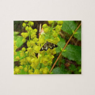 Puzzle Papillon Redwood et fleurs sauvages de raisin d'Or