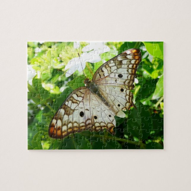 Puzzle Papillon sur Jasmine Tropical Nature Photographie (Horizontal)