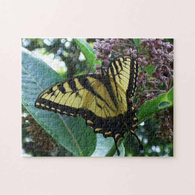 Puzzle Papillon Swallowtail I sur Milkweed à Shenandoah (Horizontal)