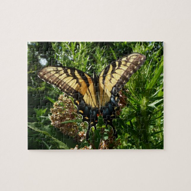 Puzzle Papillon Swallowtail III Belle photo colorée (Horizontal)