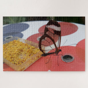 Puzzle papillon transparent