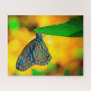 Puzzle Papillon Zèbre à Points.