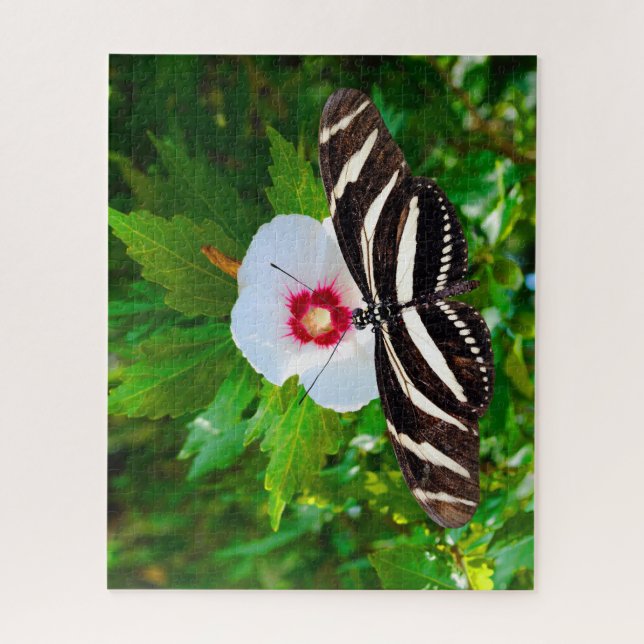Puzzle Papillon zébrée sur un Hibiscus Red Heart (Vertical)