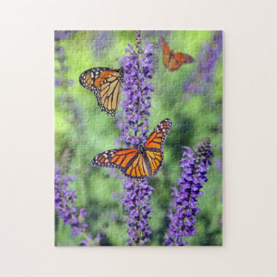 Puzzle Papillons Monarque