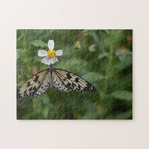 Puzzle Papillons papillons Nature Photographie Jardin