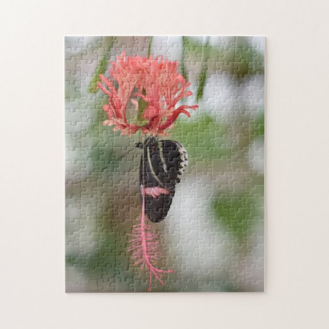 Puzzle Papillons papillons Nature Photographie Jardin (Vertical)