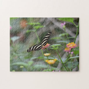 Puzzle Papillons papillons Nature Photographie Jardin
