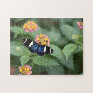 Puzzle Papillons papillons Nature Photographie Jardin