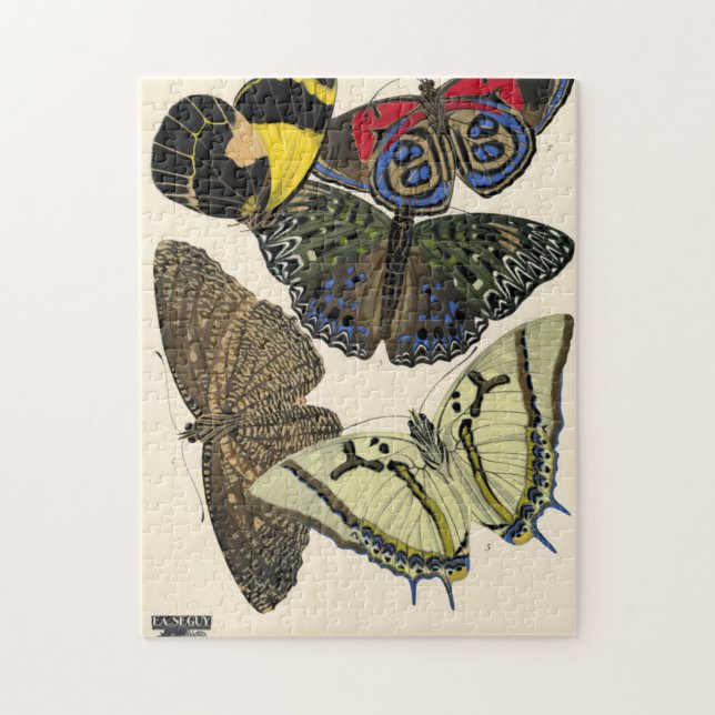 Puzzle Papillons, Papillons, Plaque n° 12 de E. A. Seguy (Vertical)