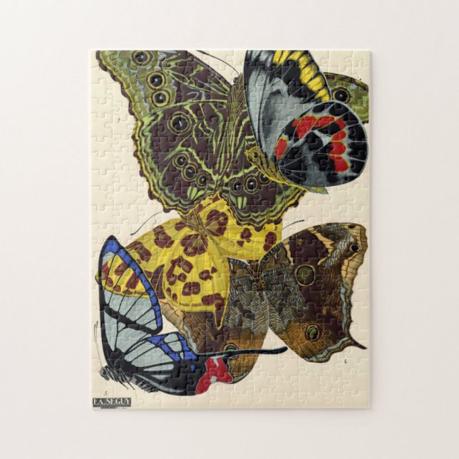 Puzzle Papillons, Papillons, Plaque n° 15 de E. A. Seguy (Vertical)