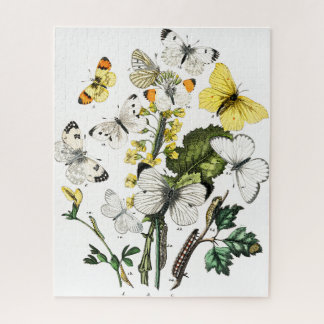 Puzzle Papillons Vintages