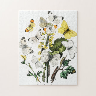 Puzzle Papillons Vintages