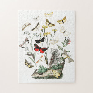 Puzzle Papillons vintages & papillons de nuit Illustratio