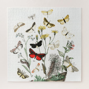 Puzzle Papillons vintages & papillons de nuit Illustratio