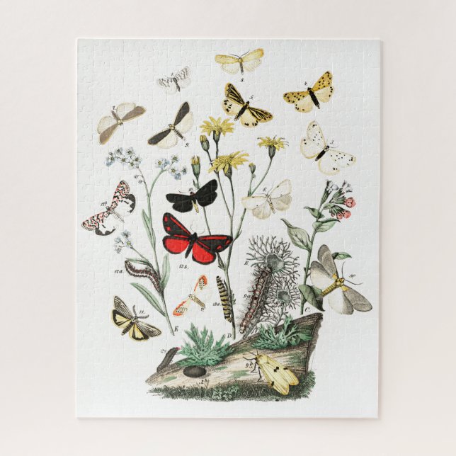 Puzzle Papillons vintages & papillons de nuit Illustratio (Vertical)