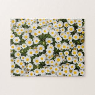 Puzzle Pâquerette