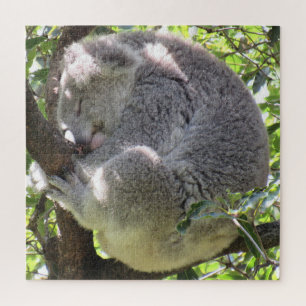 Puzzle paquet koala