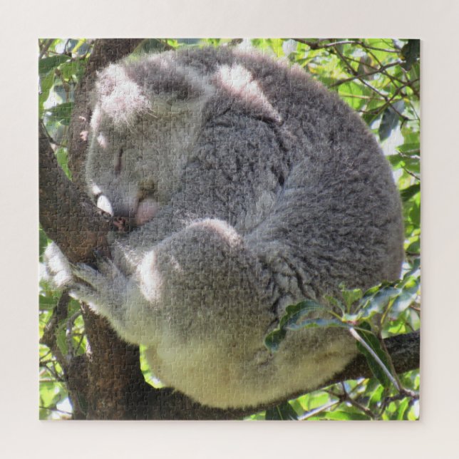 Puzzle paquet koala (Vertical)