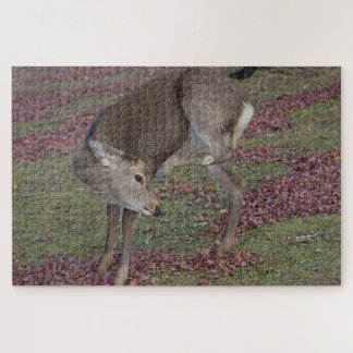 Puzzle parc nara 2024