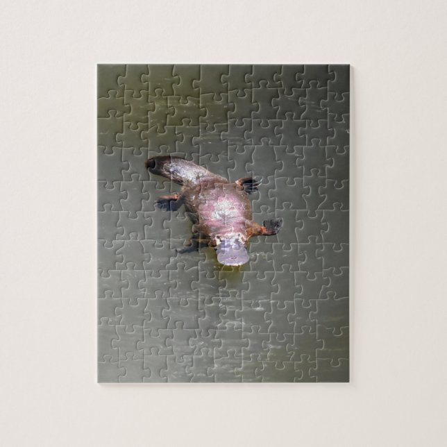 PUZZLE PARC NATIONAL AUSTRALIE DE L'ORNITHORYNQUE (Vertical)