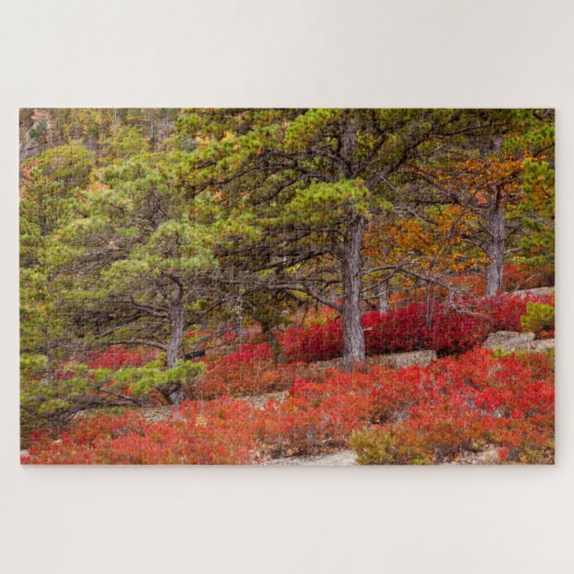 Puzzle Parc national d'Acadia, Maine (Horizontal)