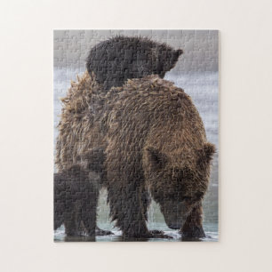 Puzzle Parc national de Clark de lac bear Brown  