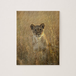 Puzzle Parc national de CUB de lion   Hwange, Zimbabwe