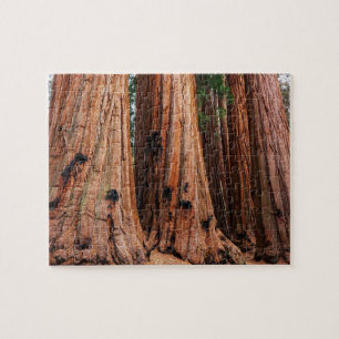 Puzzle Parc national de Sequoia