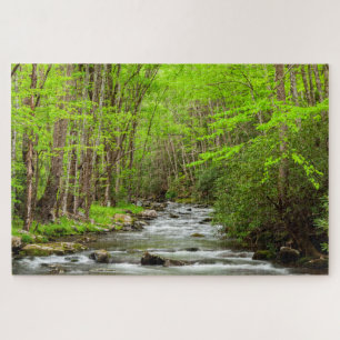 Puzzle Parc national des Great Smoky Mountains Caroline d