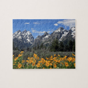 Puzzle Parc national grand de Teton