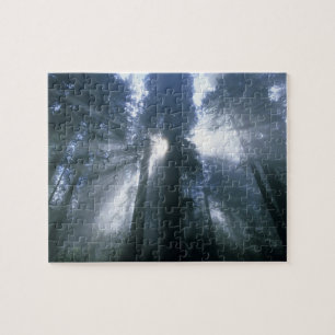 Puzzle Parc national Redwood, comté de Del Norte, brouil