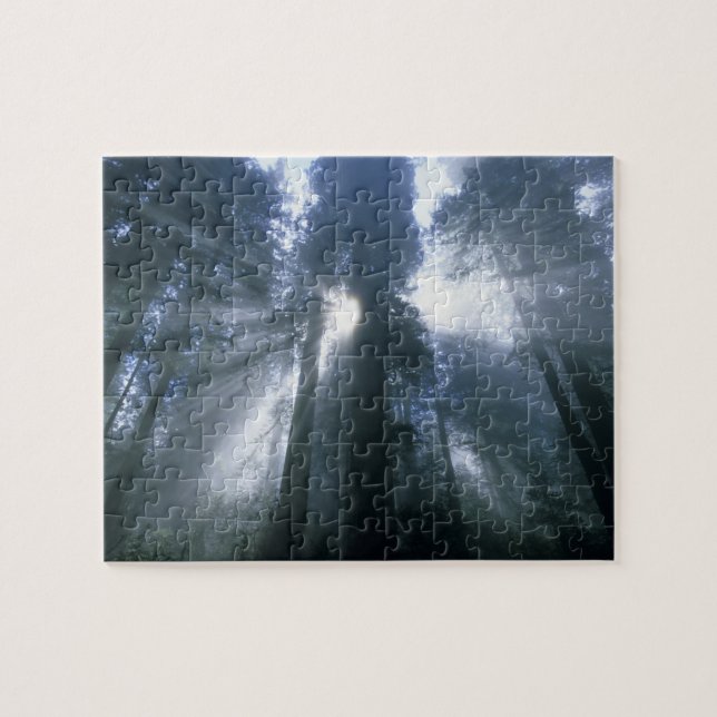 Puzzle Parc national Redwood, comté de Del Norte, brouill (Horizontal)