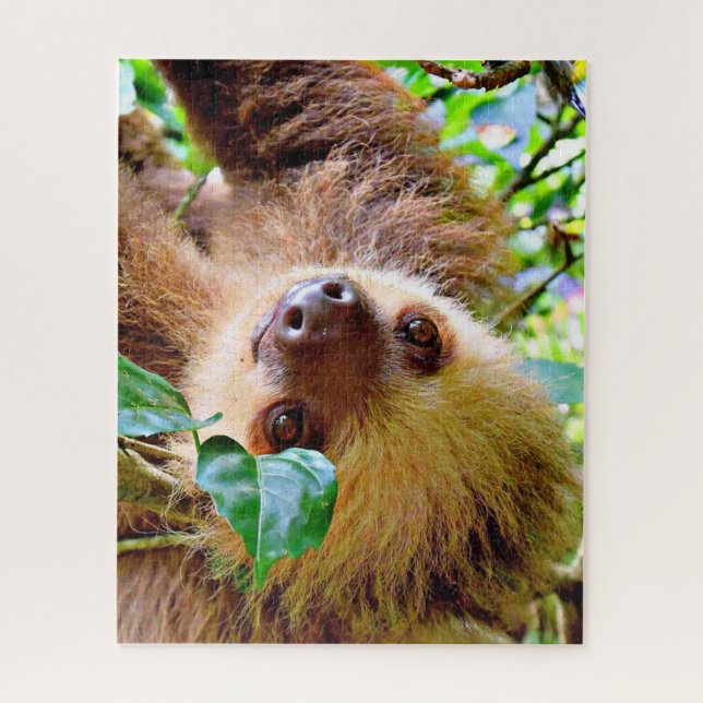 Puzzle paresse impressionnante (Vertical)