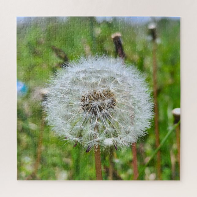 Puzzle Parfaite Pissenlit – Photographie Macro Botanique (Vertical)