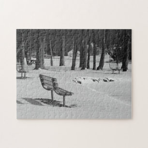 Puzzle Park Benches Among a Mid Winters Scene Family Fun