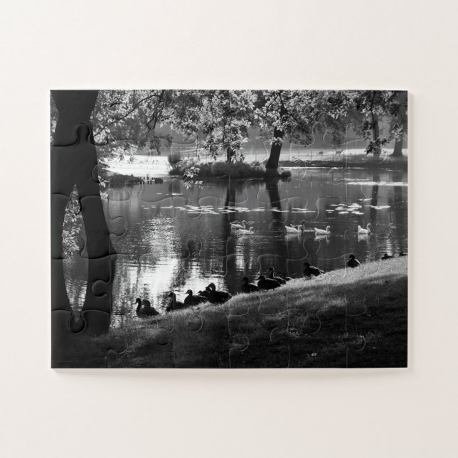 Puzzle Park Life 11x14 30pc jpcnm (Horizontal)