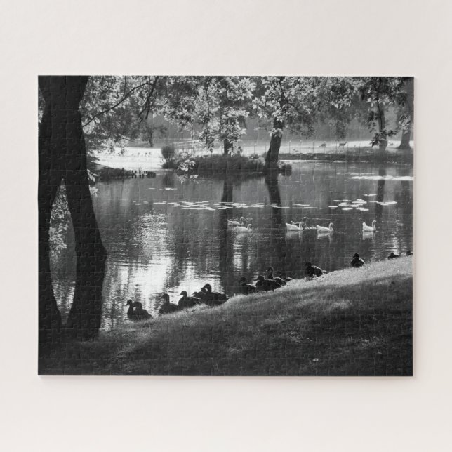 Puzzle Park Life 16x20 jpcna 520 pc (Horizontal)