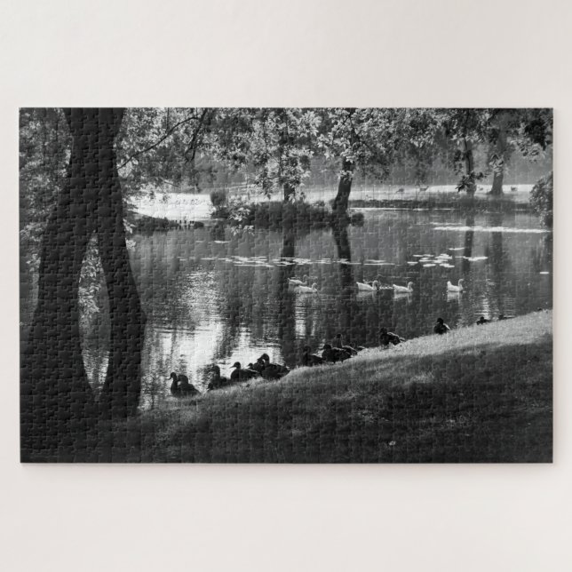 Puzzle Park Life 20x30 1014pc jpcna (Horizontal)