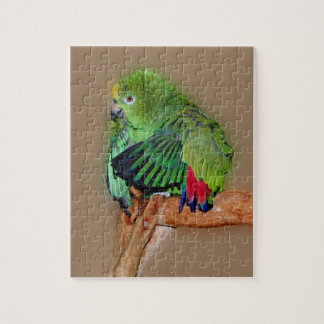 Puzzle Parrot Amazon à Naples Jaune mignon